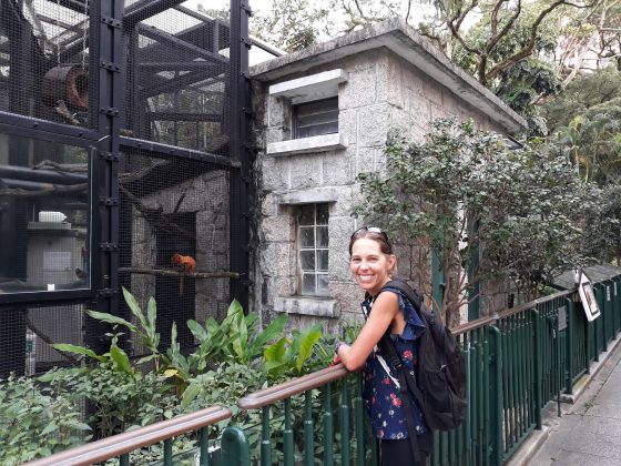 Keri- Hong Kong zoo, lion monkey